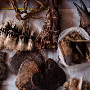 Myanmar's wildlife trafficking hotspot